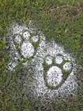 Easter Bunny foot print